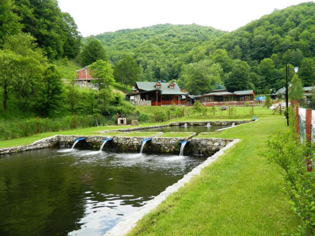 Fishery