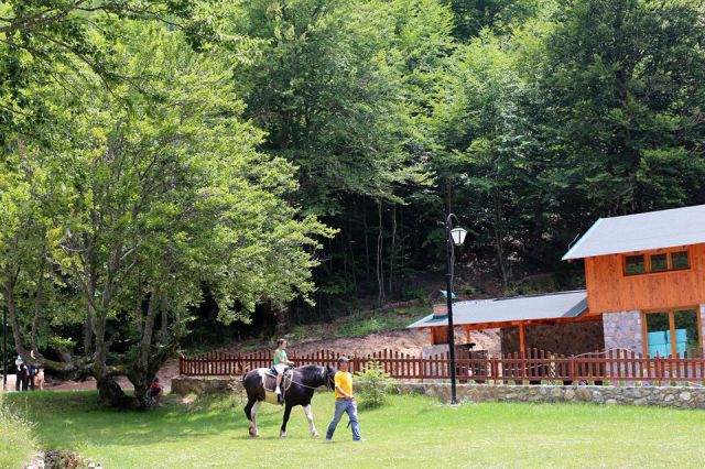 Horse Riding 