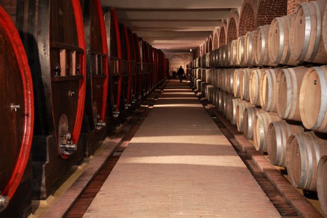 Tikvesh Winery