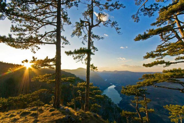 Kozjak Lake