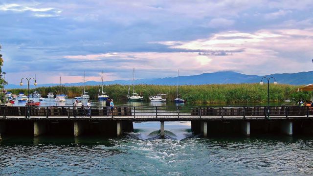 Struga