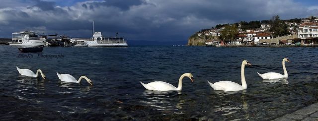 Ohrid