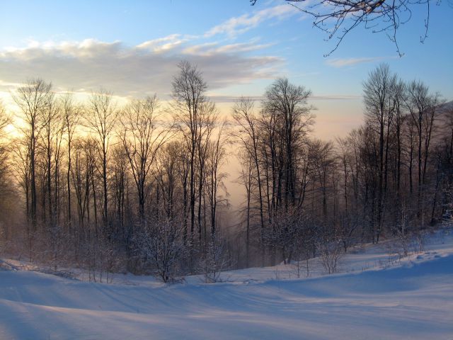 Plackovica
