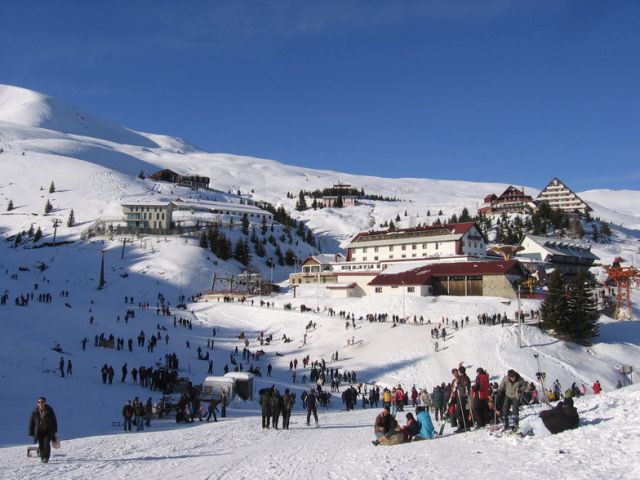 PopovaShapka