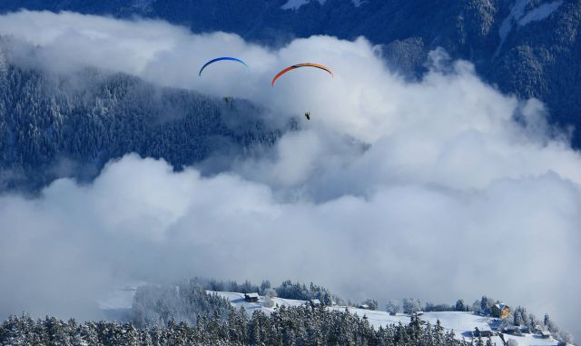 Paraglading