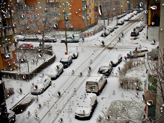 From the Window