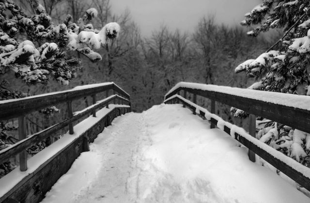 Snow Bridge