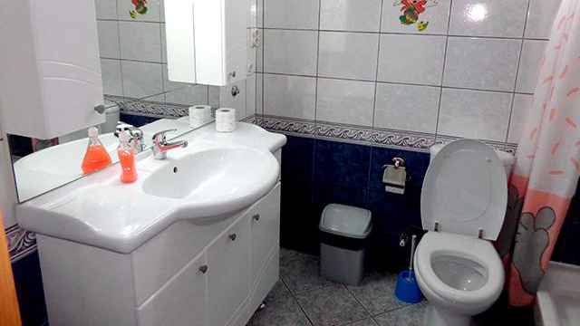 Hotel Tokin House