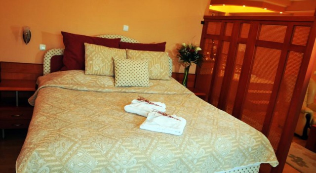 Hotel Drim