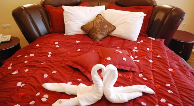 Hotel Drim