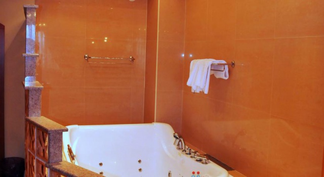 Hotel Drim