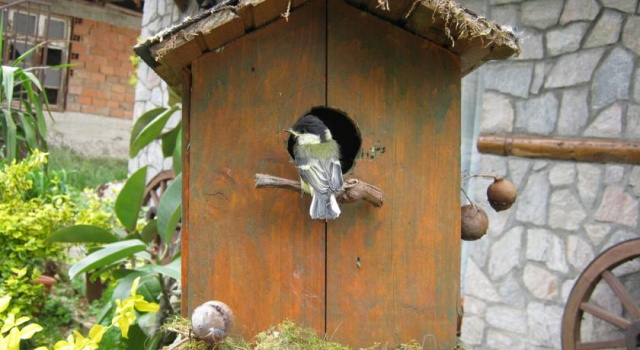 Risto's Guest House