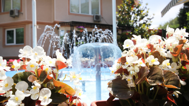 Hotel Aristocrat Palace