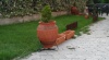 Garden Vila
